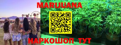 бошки Тара
