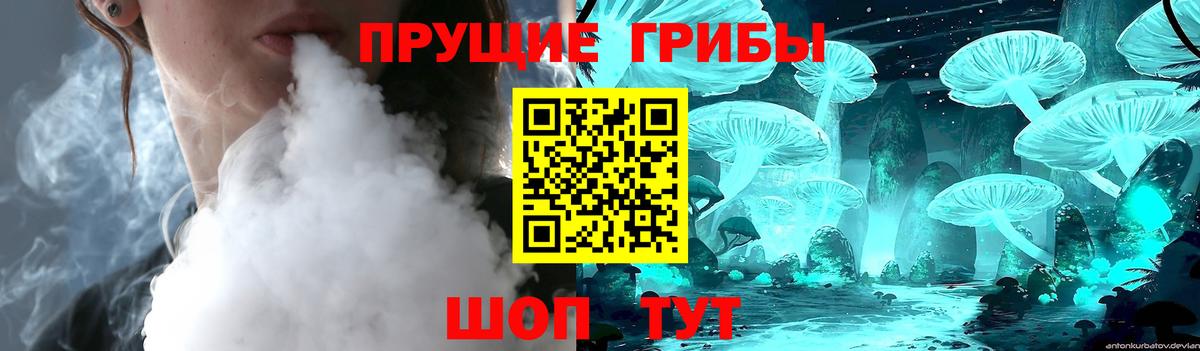 Псилоцибиновые грибы Cubensis Белогорск