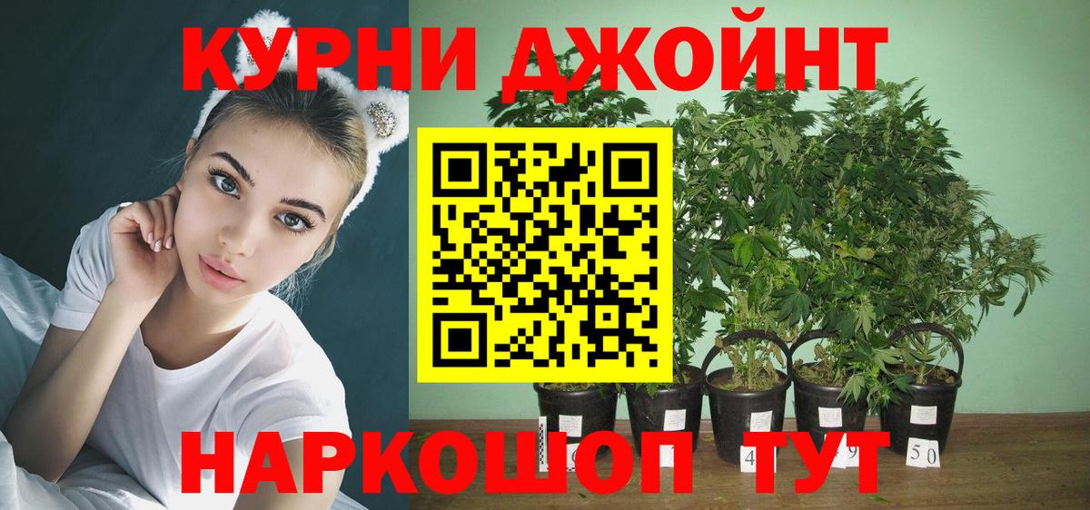 Шишки марихуана планчик  Вход с VPN  МАРИХУАНА ГИДРОПОН  Белогорск  Марихуана OG Kush 